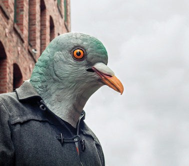 NL001