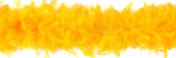 OP003