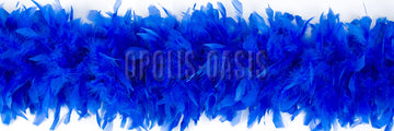 OP005