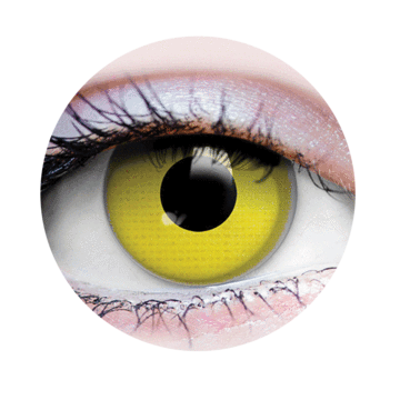 PR005