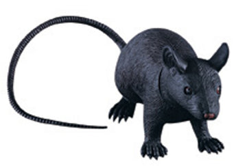 rb083